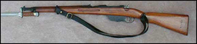 #m95aust